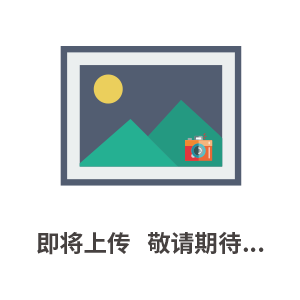 扫描开尔文探针系统